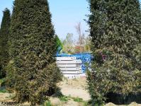 Imagine atasata: Openville - 2019.04.10 - 04.jpg